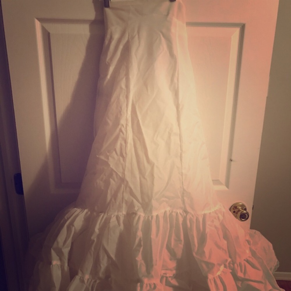 David’s Bridal Mermaid Slip